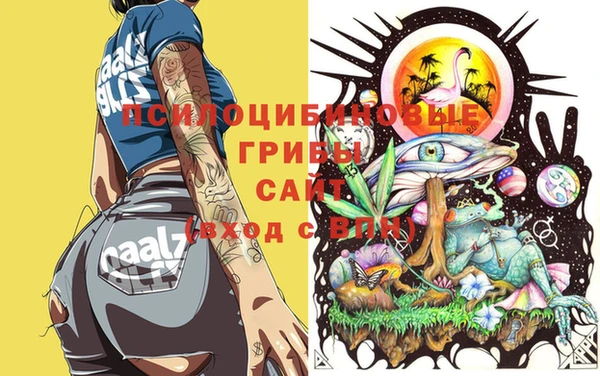 мяу мяу мука Карталы
