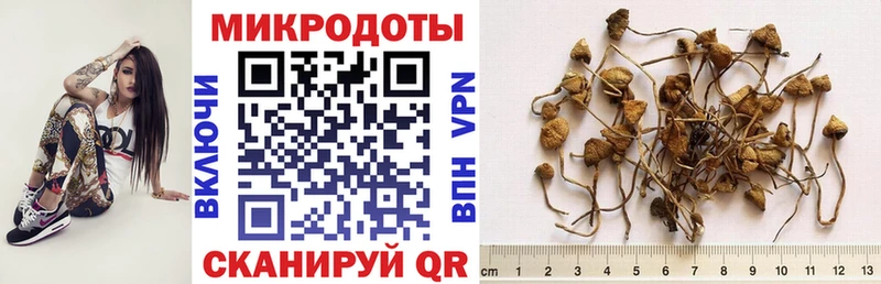 Галлюциногенные грибы GOLDEN TEACHER Козьмодемьянск
