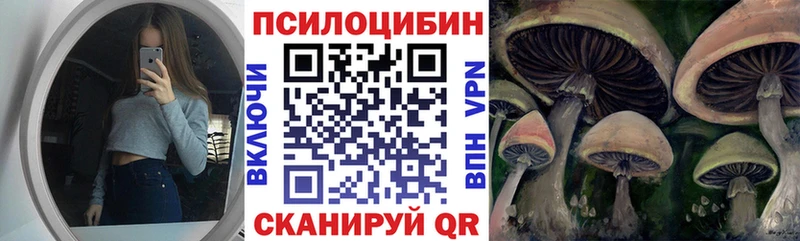 Галлюциногенные грибы MAGIC MUSHROOMS  Купить закладки  Козьмодемьянск 
